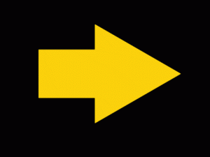 Les événements qui marqueront l&rsquo;année 2026 pour la Famille Salésienne