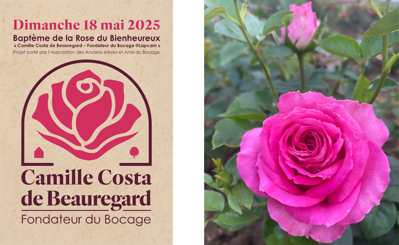 A Chambéry – le Baptême de la Rose